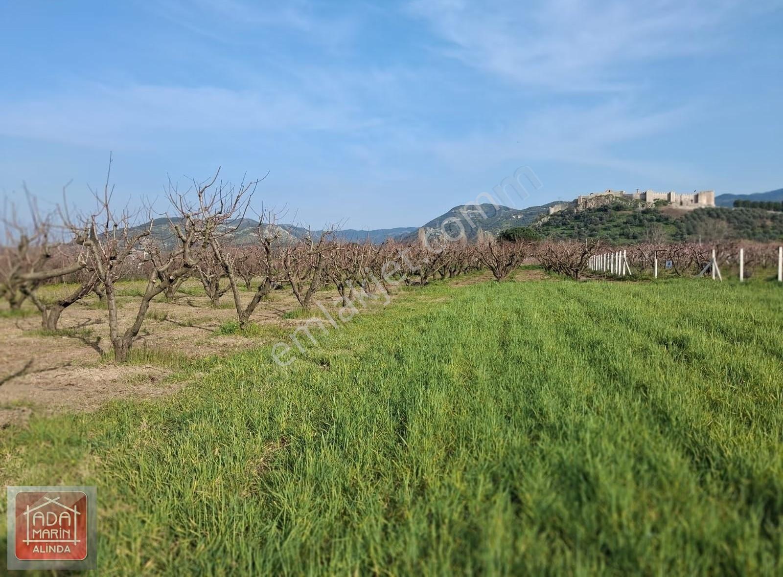 Efese Komşu Selçukta İmara Yakın 750 M² Yatırımlık Arazi - Görsel 5