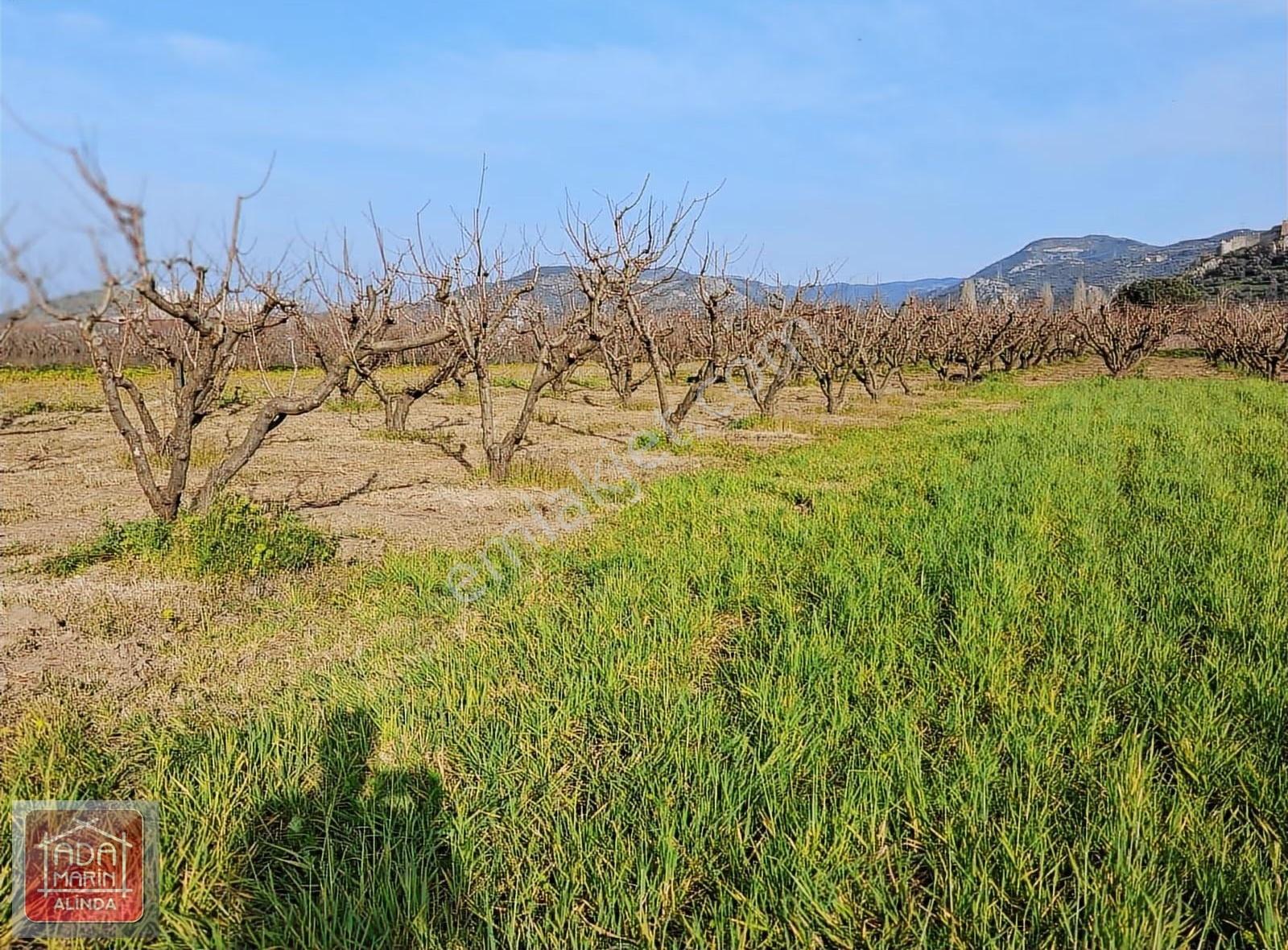 Efese Komşu Selçukta İmara Yakın 750 M² Yatırımlık Arazi - Görsel 8