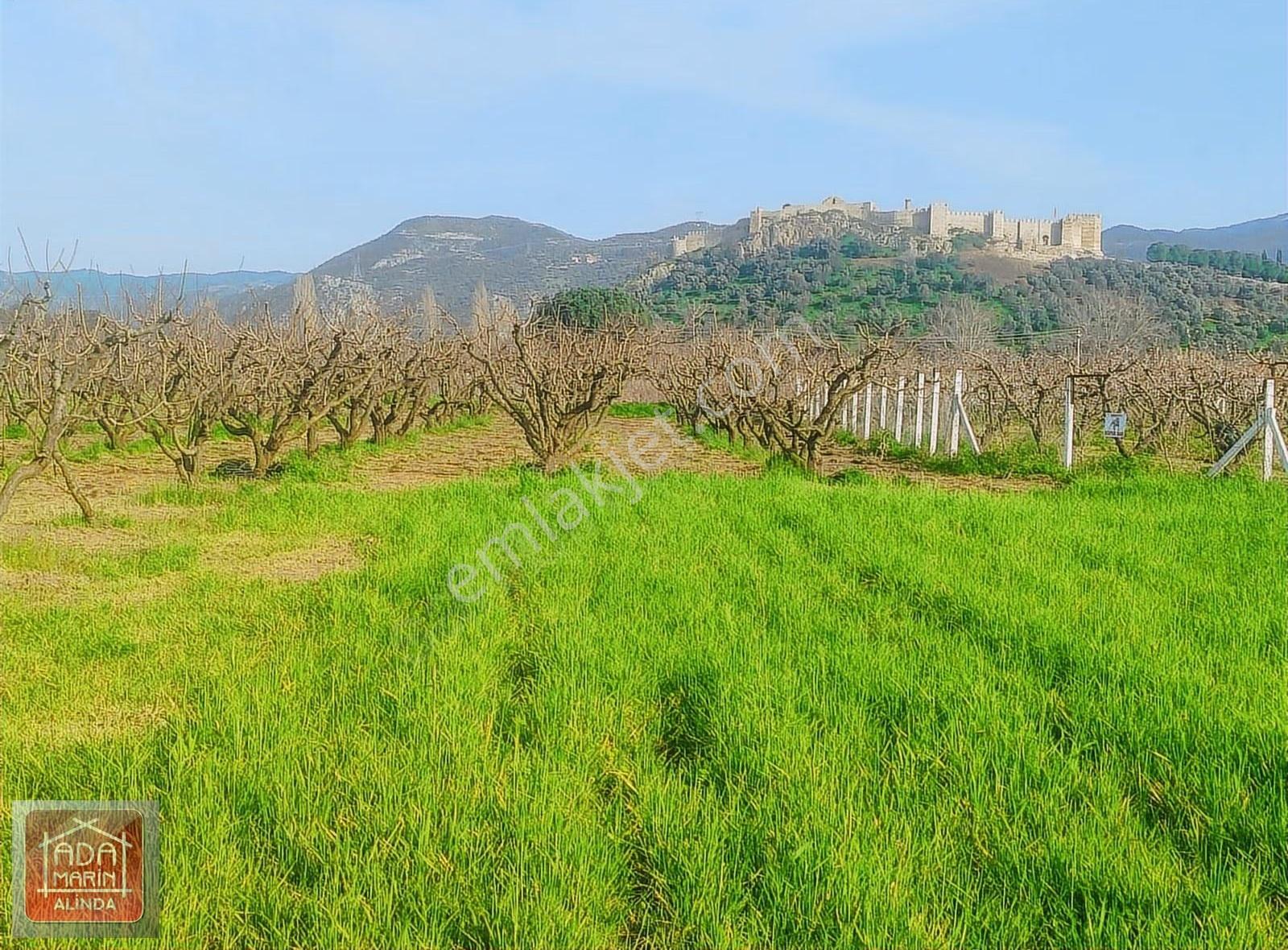 Efese Komşu Selçukta İmara Yakın 750 M² Yatırımlık Arazi - Görsel 2
