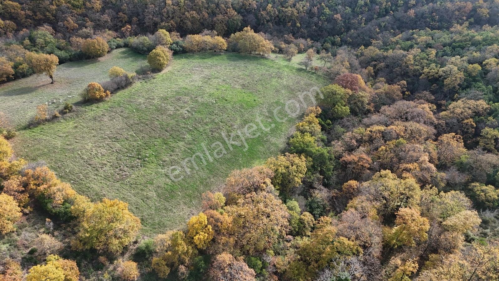 10.692 M² Müstakil Tarla, 3 Tarafı Orman, Gönen Sarıköy ' De - Görsel 3