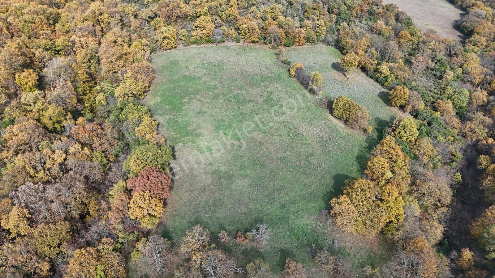 10.692 M² Müstakil Tarla, 3 Tarafı Orman, Gönen Sarıköy ' De - Görsel 6