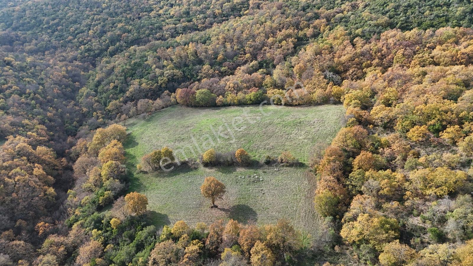 10.692 M² Müstakil Tarla, 3 Tarafı Orman, Gönen Sarıköy ' De - Görsel 5