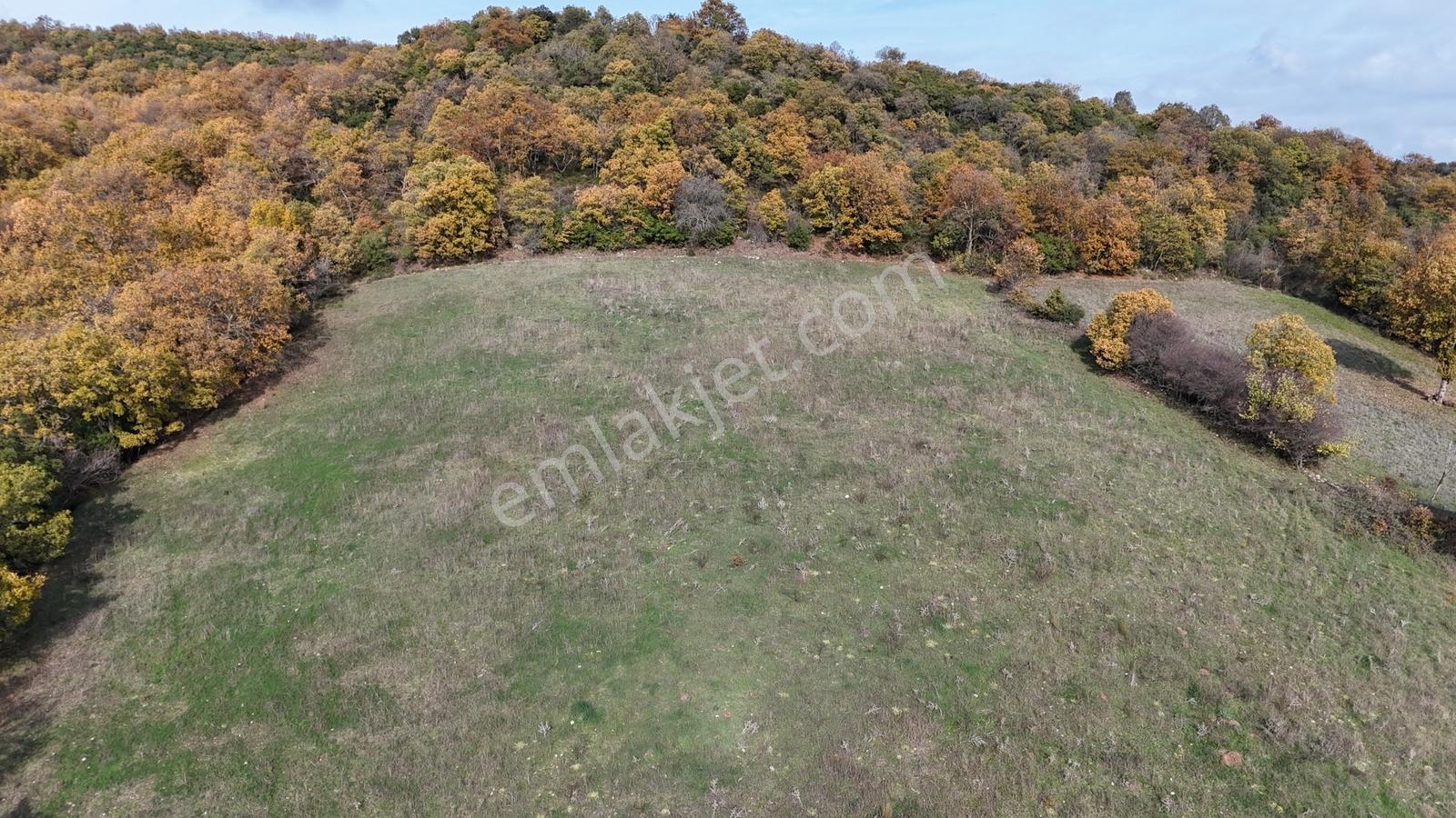 10.692 M² Müstakil Tarla, 3 Tarafı Orman, Gönen Sarıköy ' De - Görsel 19