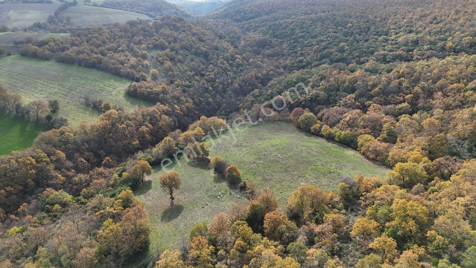10.692 M² Müstakil Tarla, 3 Tarafı Orman, Gönen Sarıköy ' De - Görsel 24