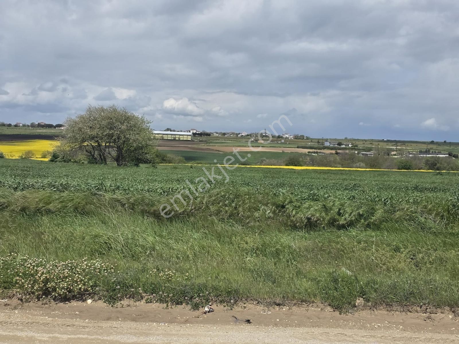 Yuvakurdan Karaağaçta Satılık Ticari Arsadan Hisse 120 M2 - Görsel 10