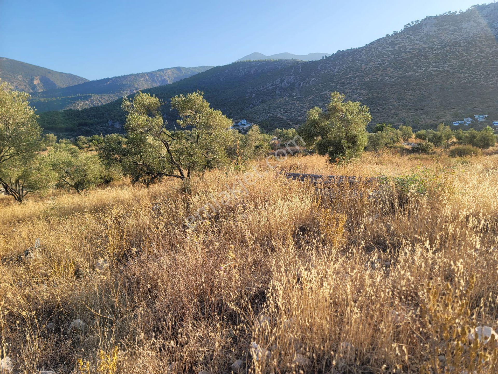 Kaş Kalkan Üzümlüde Patara Plajı Manzaralı Yatırımlık Arsa İhtiyaçtan Acil Satılıktır - Görsel 9