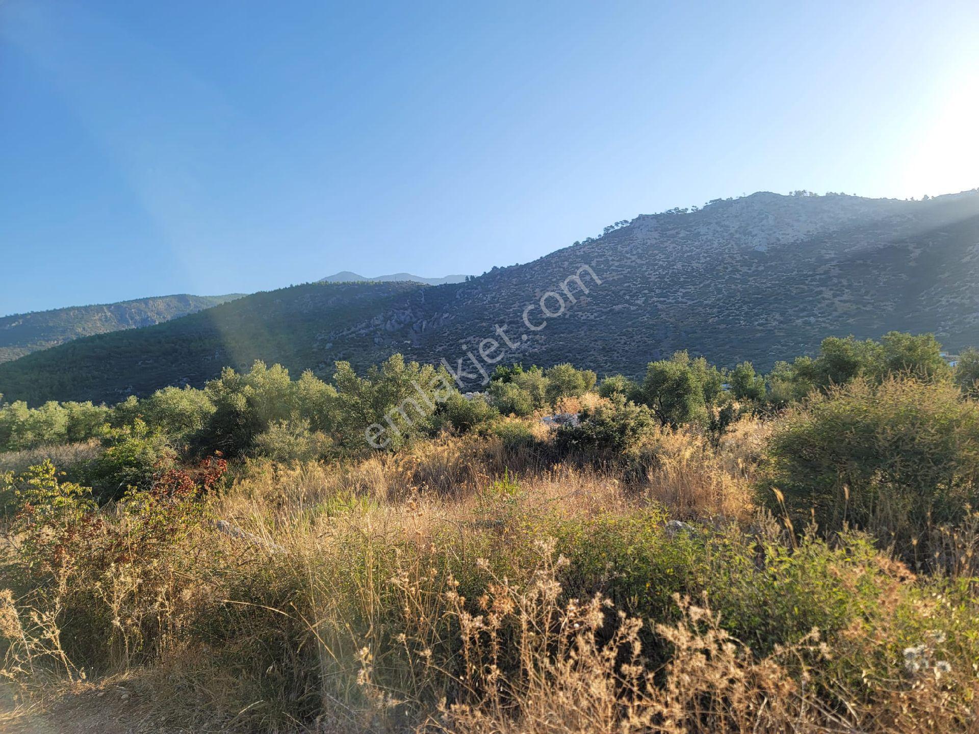 Kaş Kalkan Üzümlüde Patara Plajı Manzaralı Yatırımlık Arsa İhtiyaçtan Acil Satılıktır - Görsel 17