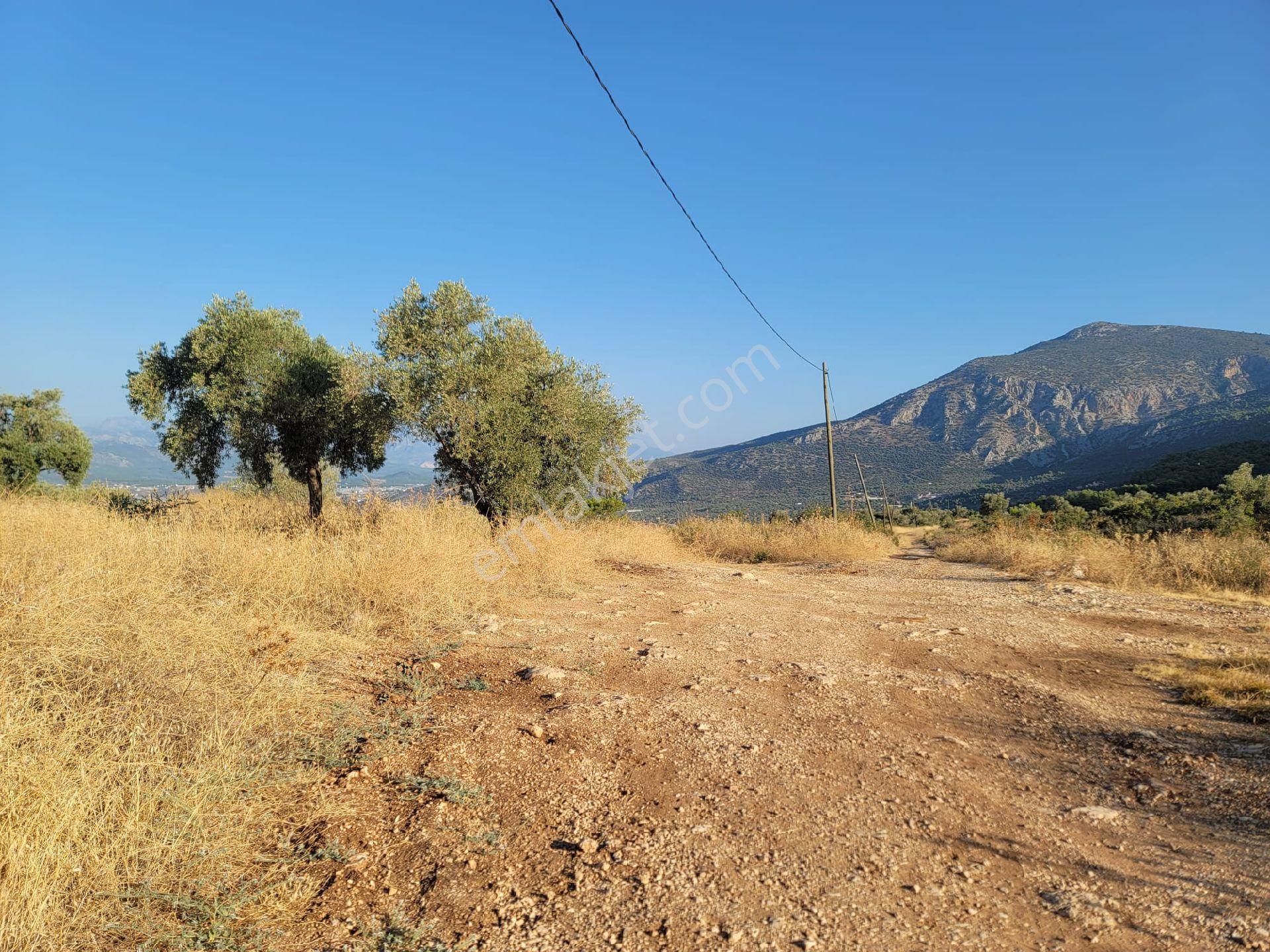Kaş Kalkan Üzümlüde Patara Plajı Manzaralı Yatırımlık Arsa İhtiyaçtan Acil Satılıktır - Görsel 4