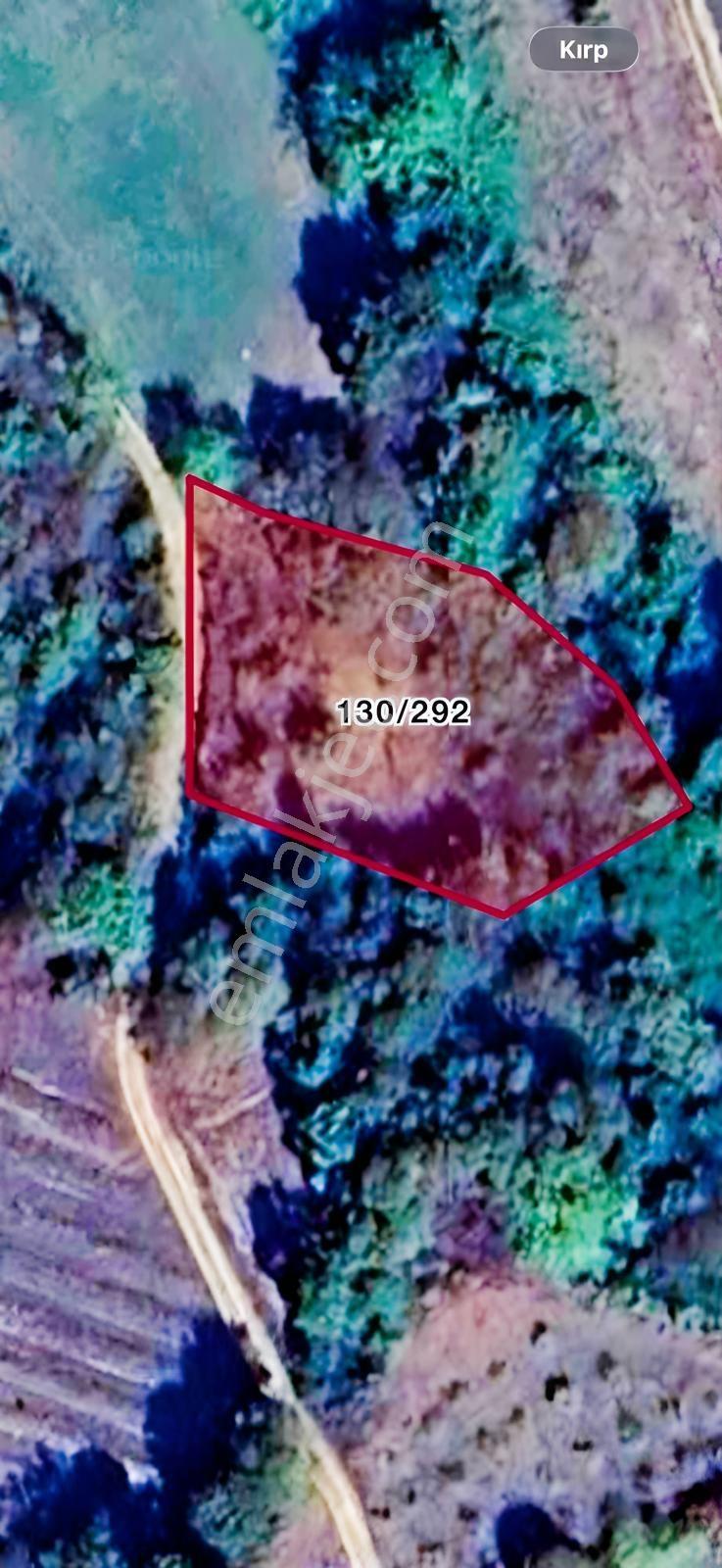 Sinanlıbilallı'da Müstakil Tapulu Net 1..091,61 M2 Yol'lu Arazi - Görsel 8