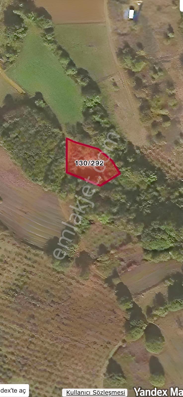Sinanlıbilallı'da Müstakil Tapulu Net 1..091,61 M2 Yol'lu Arazi - Görsel 3