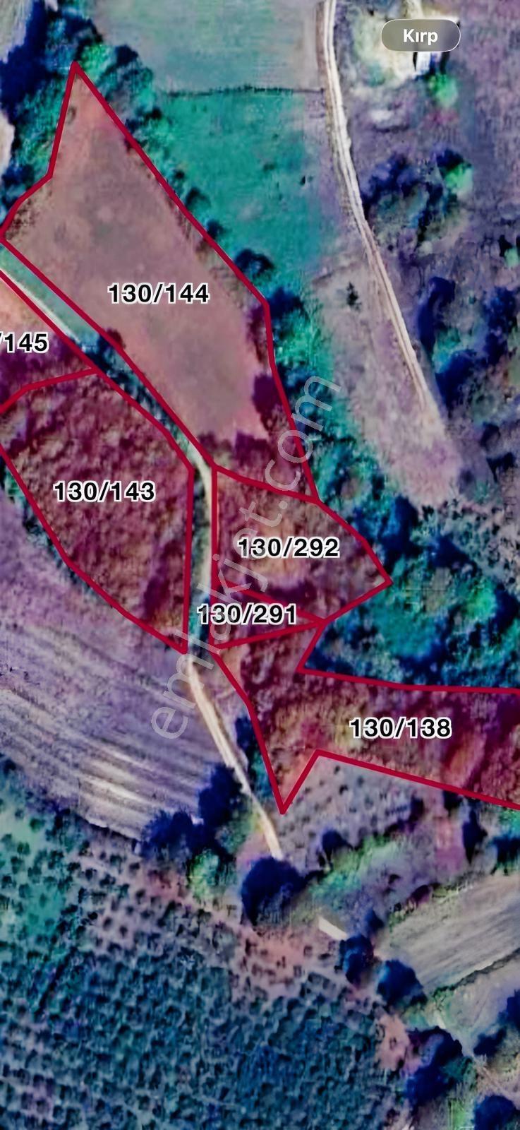 Sinanlıbilallı'da Müstakil Tapulu Net 1..091,61 M2 Yol'lu Arazi - Görsel 7
