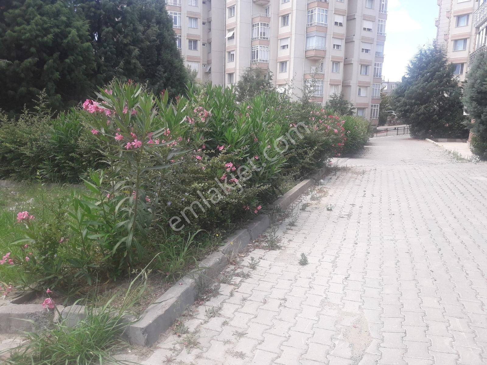 Jandarma Ve Emniyete Yakın Fırsat Kiralık Daire Ayça Emlaktan - Görsel 23
