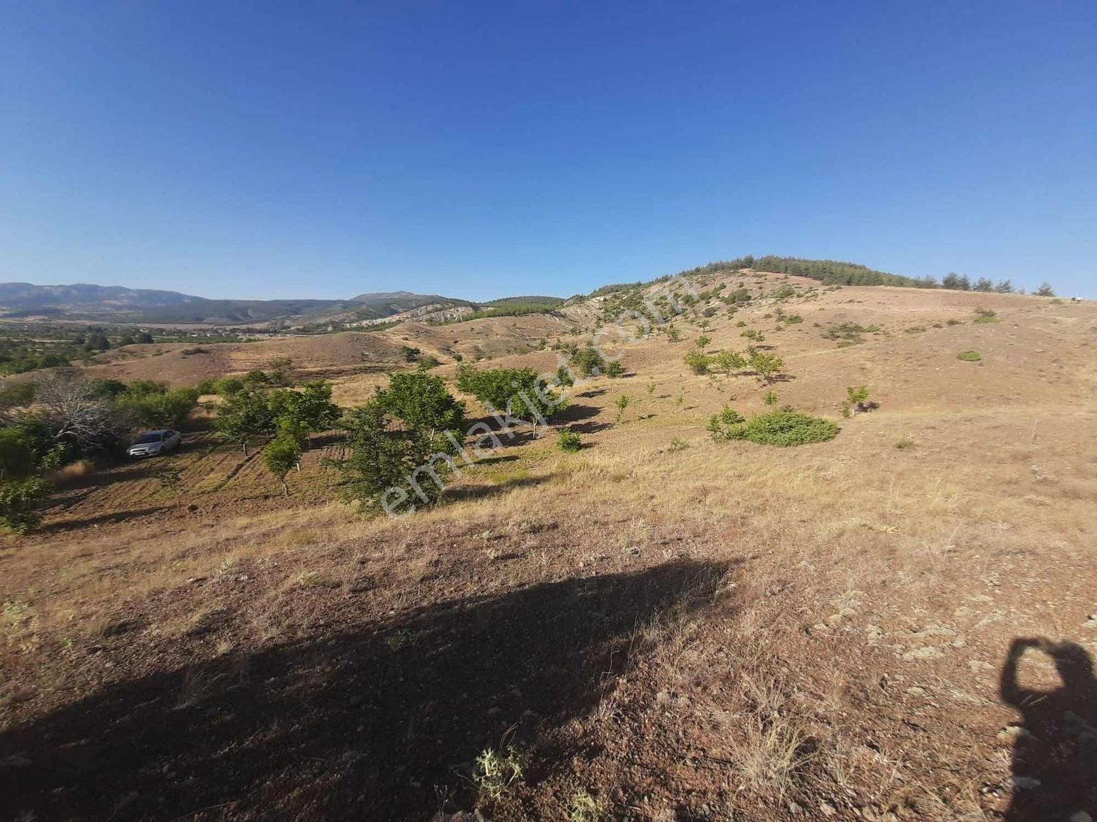 Denizli Acıpayam Avşar Da 1.986 M2 Fırsat Satılık Tarla - Görsel 3