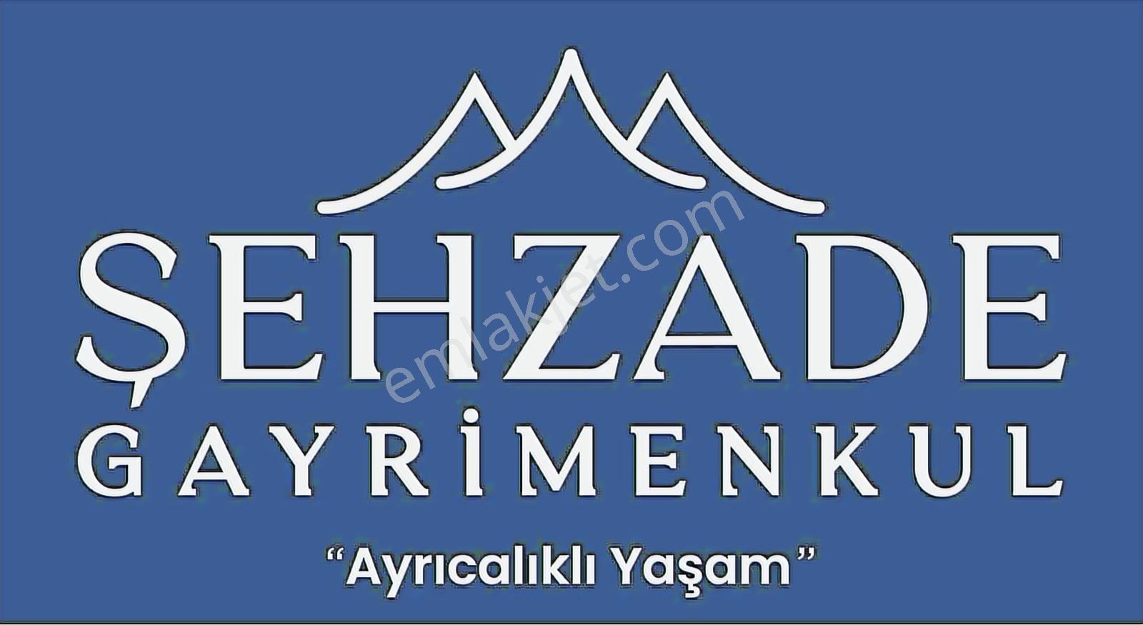 Şehzade'den Tekkeköy'de Mükemmel Ceviz Bahçesi Satılık Tarla - Görsel 4