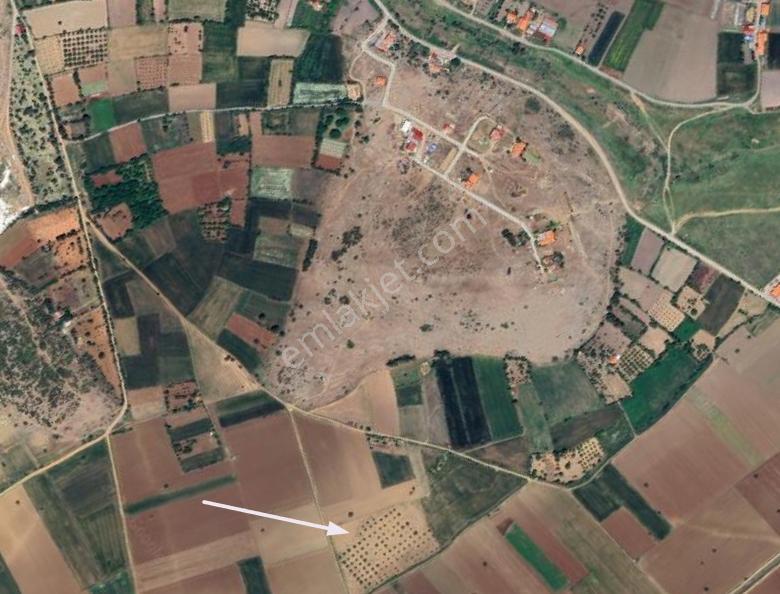 Satılık Cevizlik Kadastral Çift Cepheli Yol / Su Ve Elektrik Mevcut