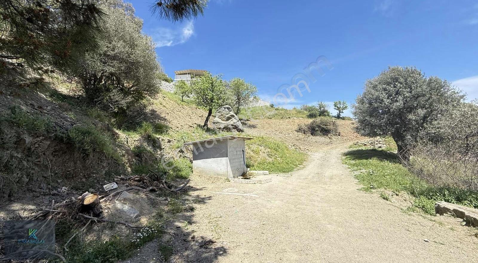 Seferihisar Gödence'de %50 İmarlı 942 M² Satılık Parseller - Görsel 18