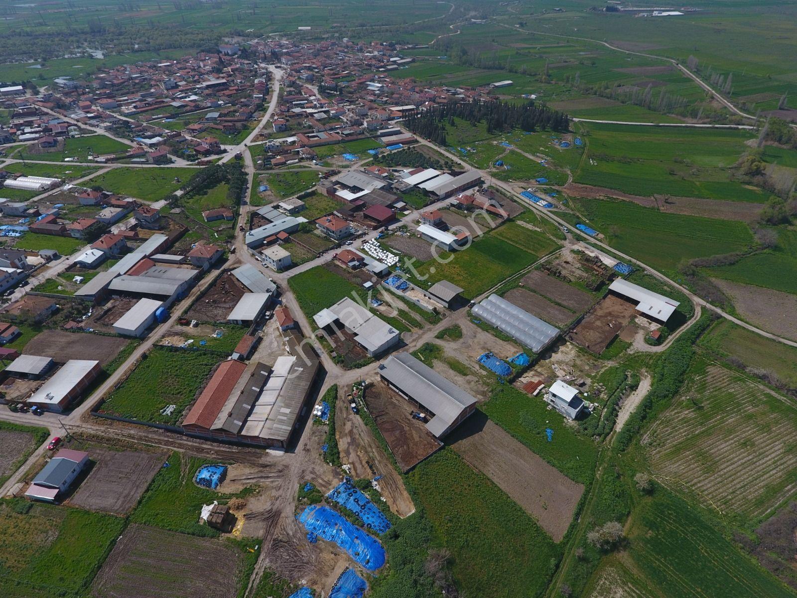 Cb King'den Kepsut/mahmudiye Mahallesi Konut İmarlı Satılık Arsa - Görsel 14