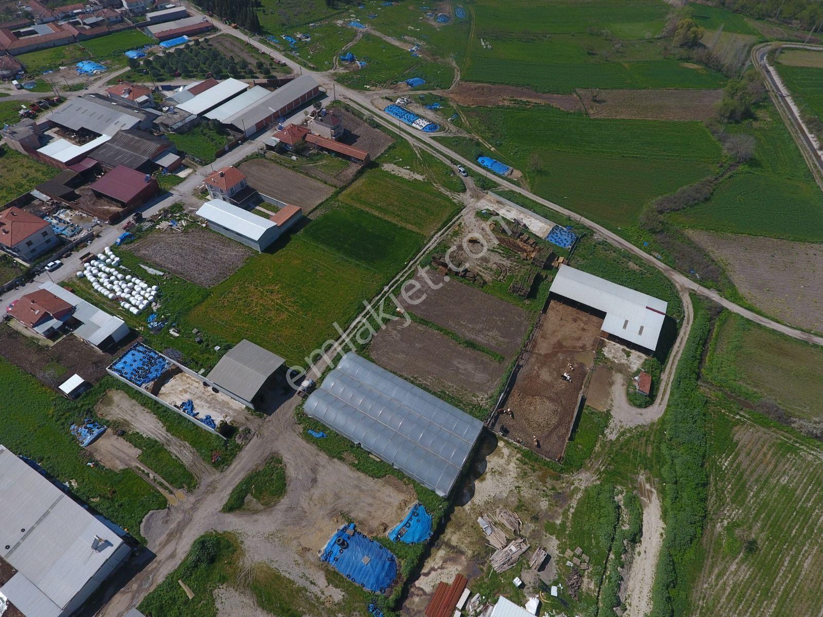 Cb King'den Kepsut/mahmudiye Mahallesi Konut İmarlı Satılık Arsa - Görsel 3