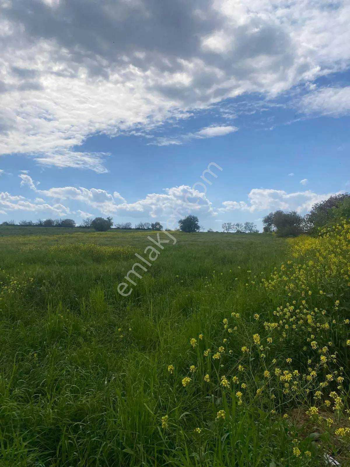 Balıkesir Kepsut Yenice'de 9.280 M2 Satılık Tarla - Görsel 15