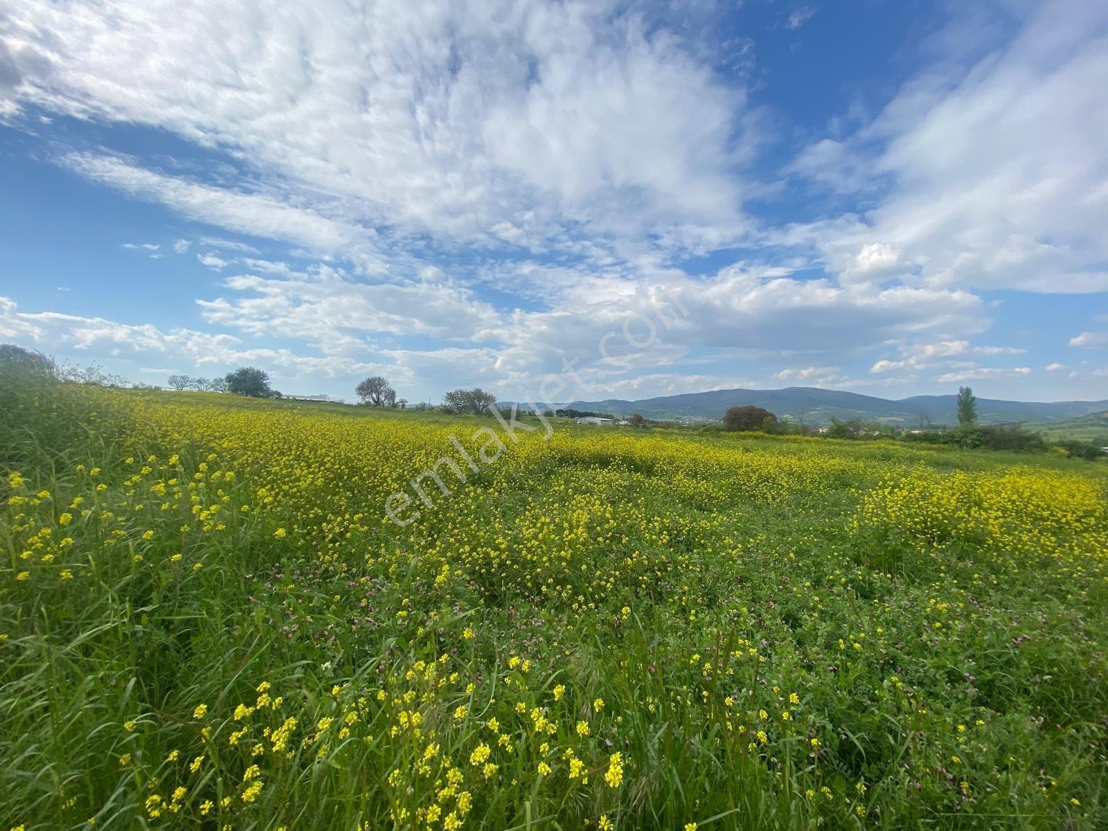 Balıkesir Kepsut Yenice'de 9.280 M2 Satılık Tarla - Görsel 16