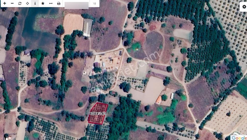 Bursa Nilüfer Kayapa Da Tek Tapu 981 M2 (70 Adet) Meyve Bahçesi - Görsel 29