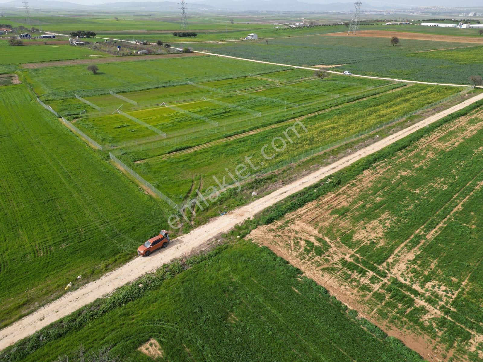 Balıkesir Bandırma Manyas Gölü Manzaralı Araziler - Görsel 5