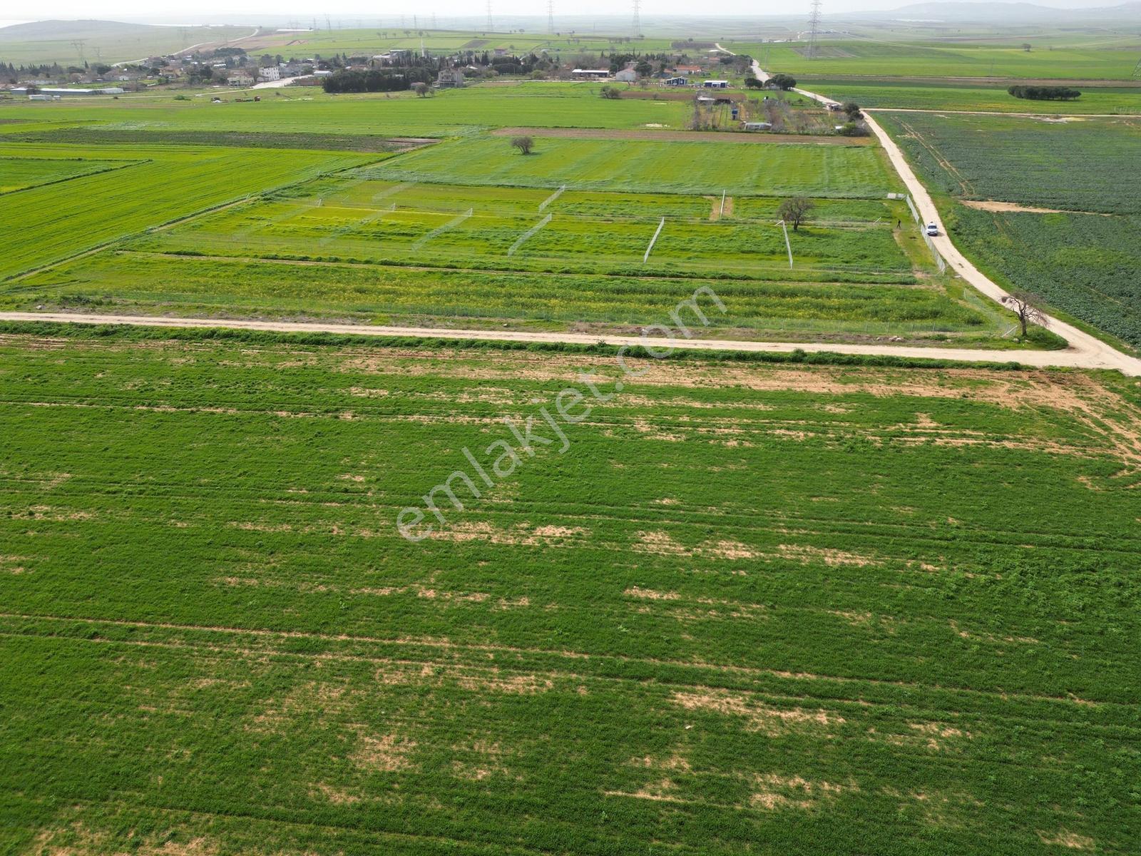 Balıkesir Bandırma Manyas Gölü Manzaralı Araziler - Görsel 3