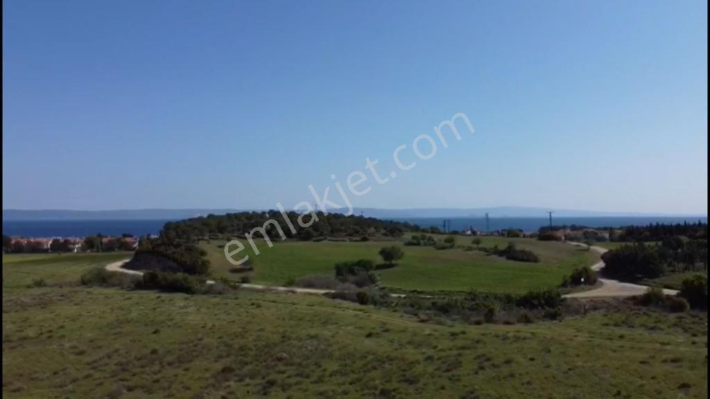 Çanakkale Geliboluda Denize 400 Mt Satılık Müstakil Arsa - Görsel 6