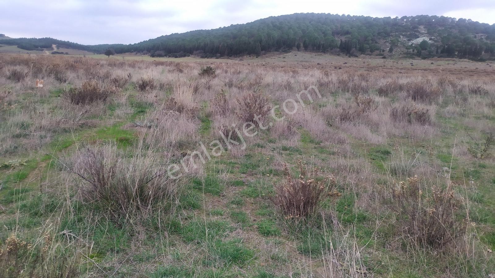 Çanakkale Geliboluda Denize 400 Mt Satılık Müstakil Arsa - Görsel 14