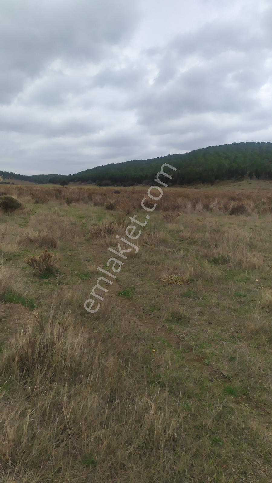 Çanakkale Geliboluda Denize 400 Mt Satılık Müstakil Arsa - Görsel 12