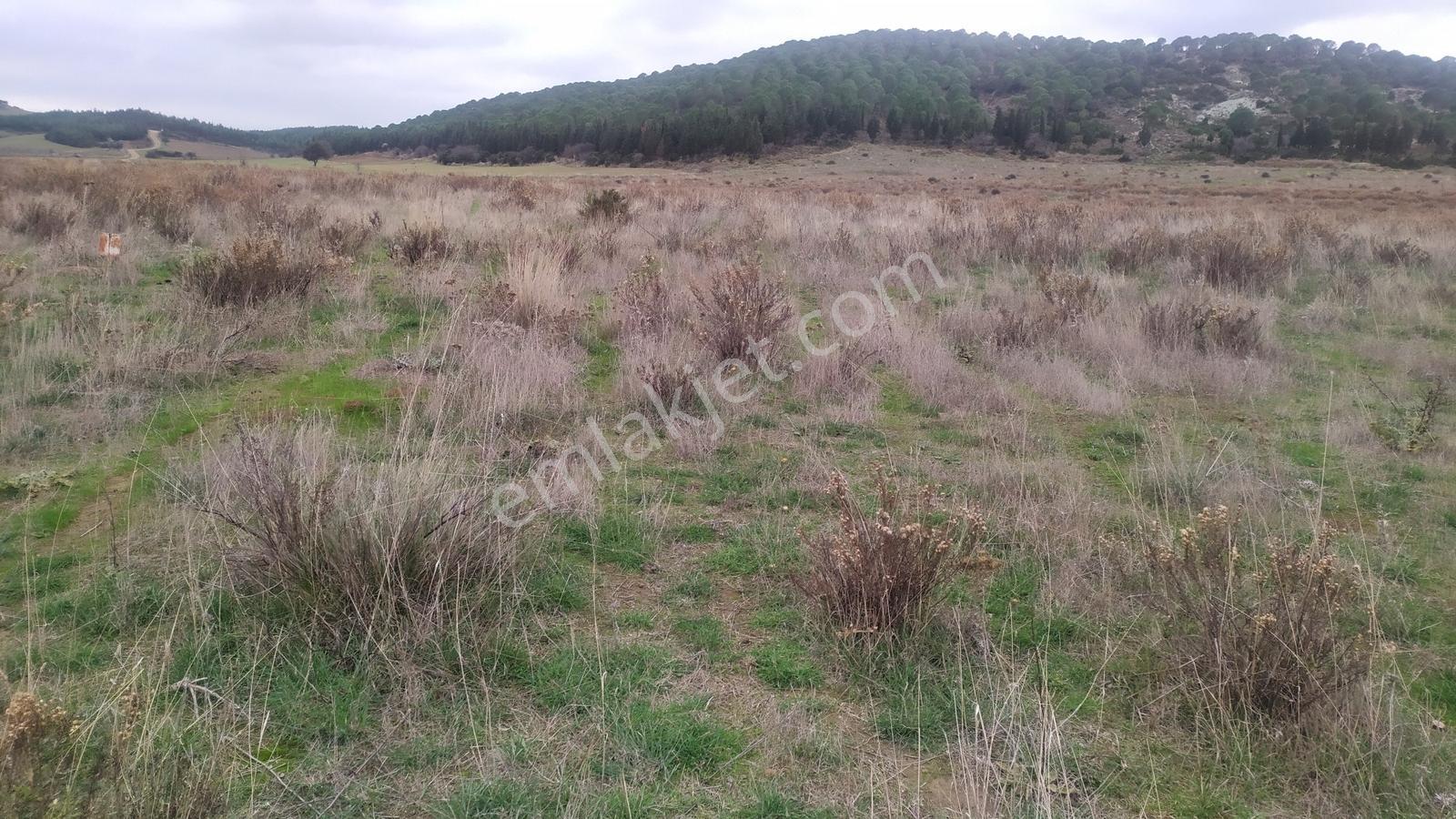 Çanakkale Geliboluda Denize 400 Mt Satılık Müstakil Arsa - Görsel 11