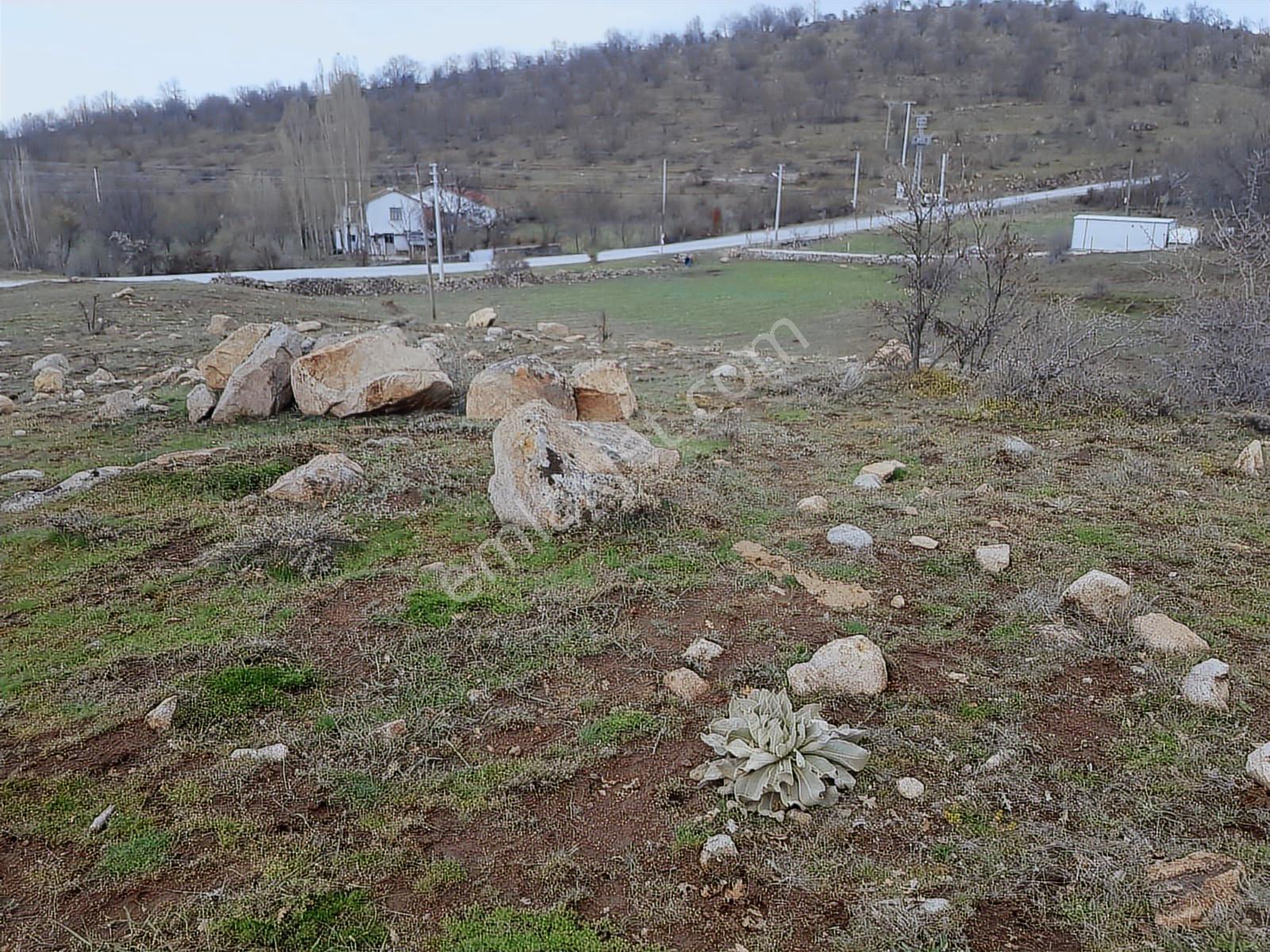 Söğüt Emlak'tan Asfalt Üzeri Satılık Bahçe - Görsel 3