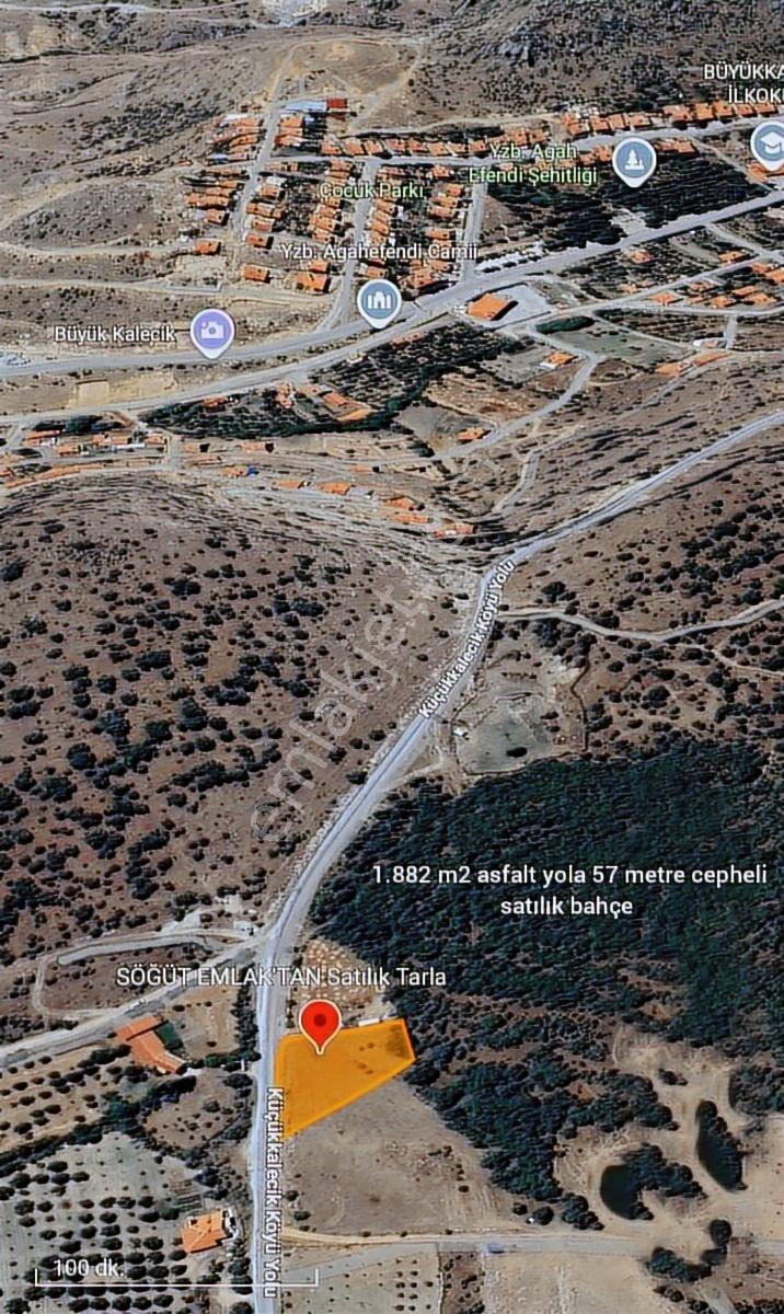 Söğüt Emlak'tan Asfalt Üzeri Satılık Bahçe - Görsel 6