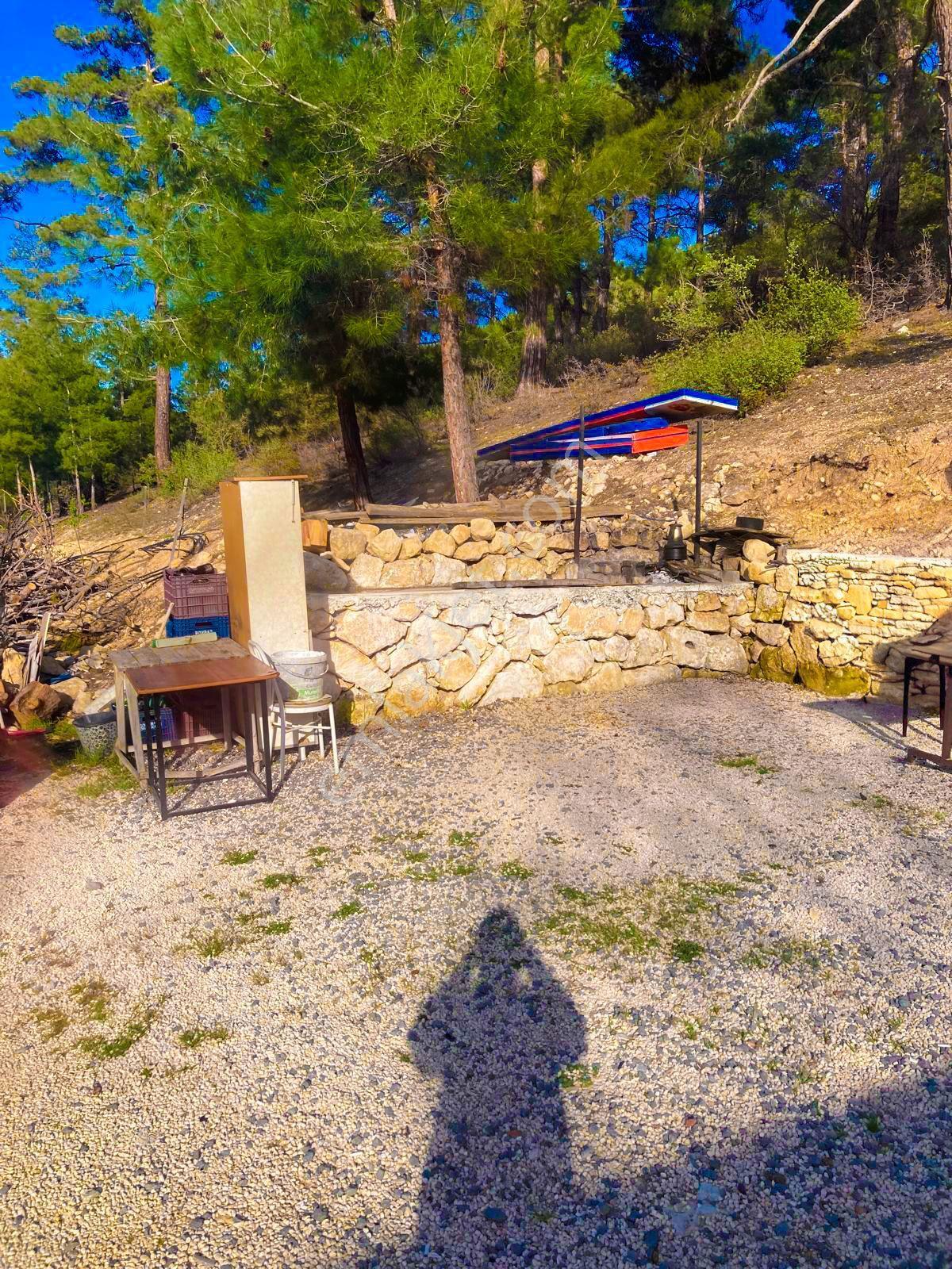 Karaman Ermenek Kazancı Satılık Ruhsatlı Kafe-rerstorant - Görsel 8