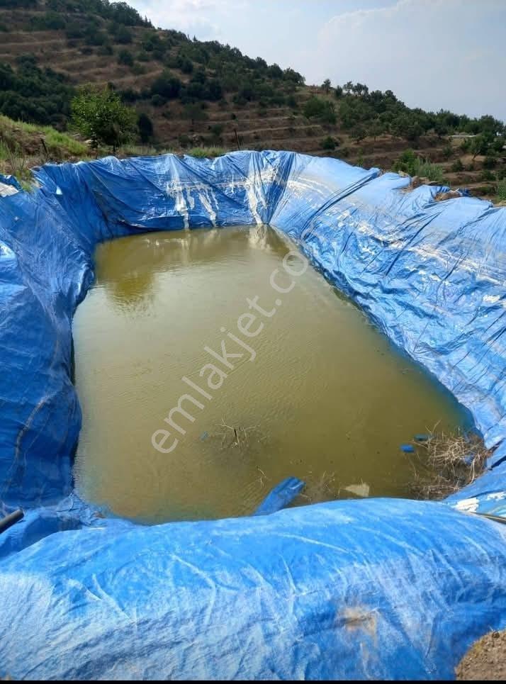 Yenipazar Koyunlar Mahallesinde 7 Dönüm Satılık Yüksek Verimli Bahçe - Görsel 2