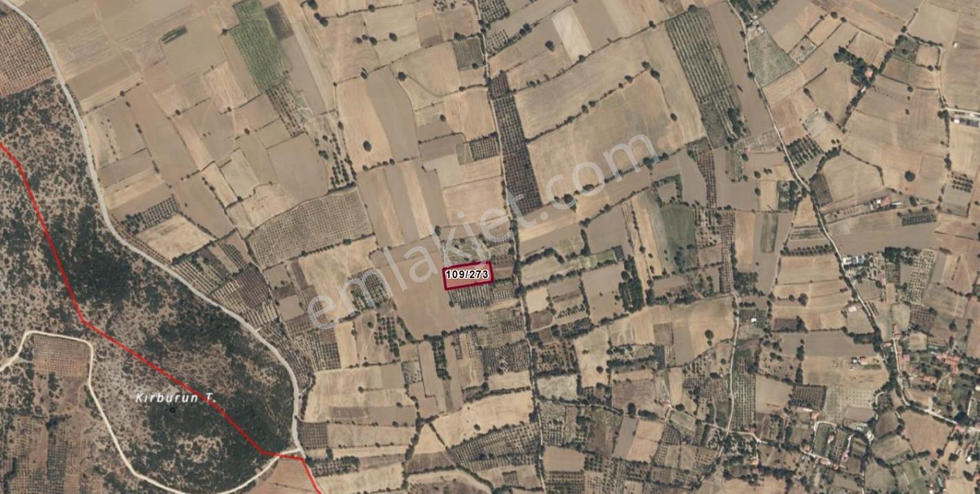 Muğla Menteşe Yeşilyurt Mah. 4.661 M2 Satılık Tarla - Görsel 16