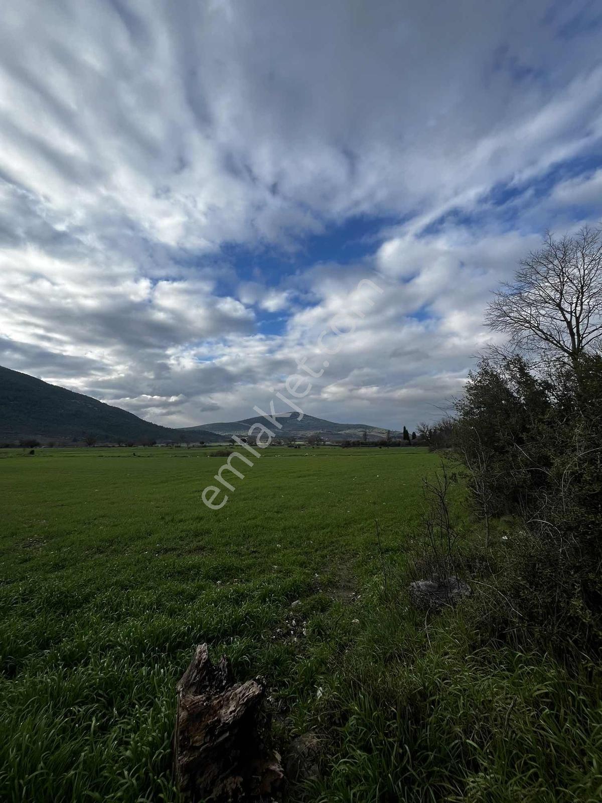 Muğla Menteşe Yeşilyurt Mah. 4.661 M2 Satılık Tarla - Görsel 18
