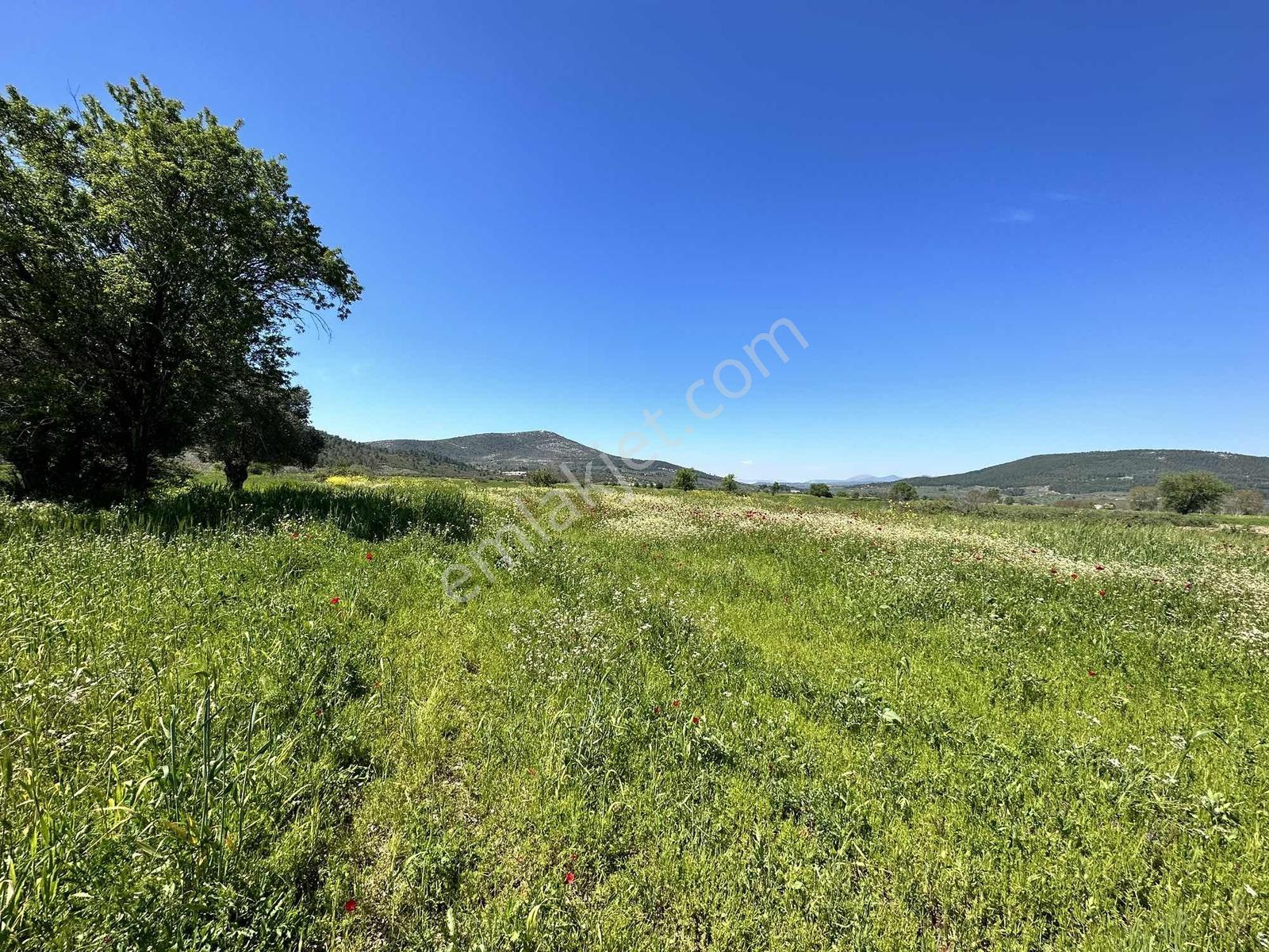 Muğla Menteşe Yeşilyurt Mah. 4.661 M2 Satılık Tarla - Görsel 5