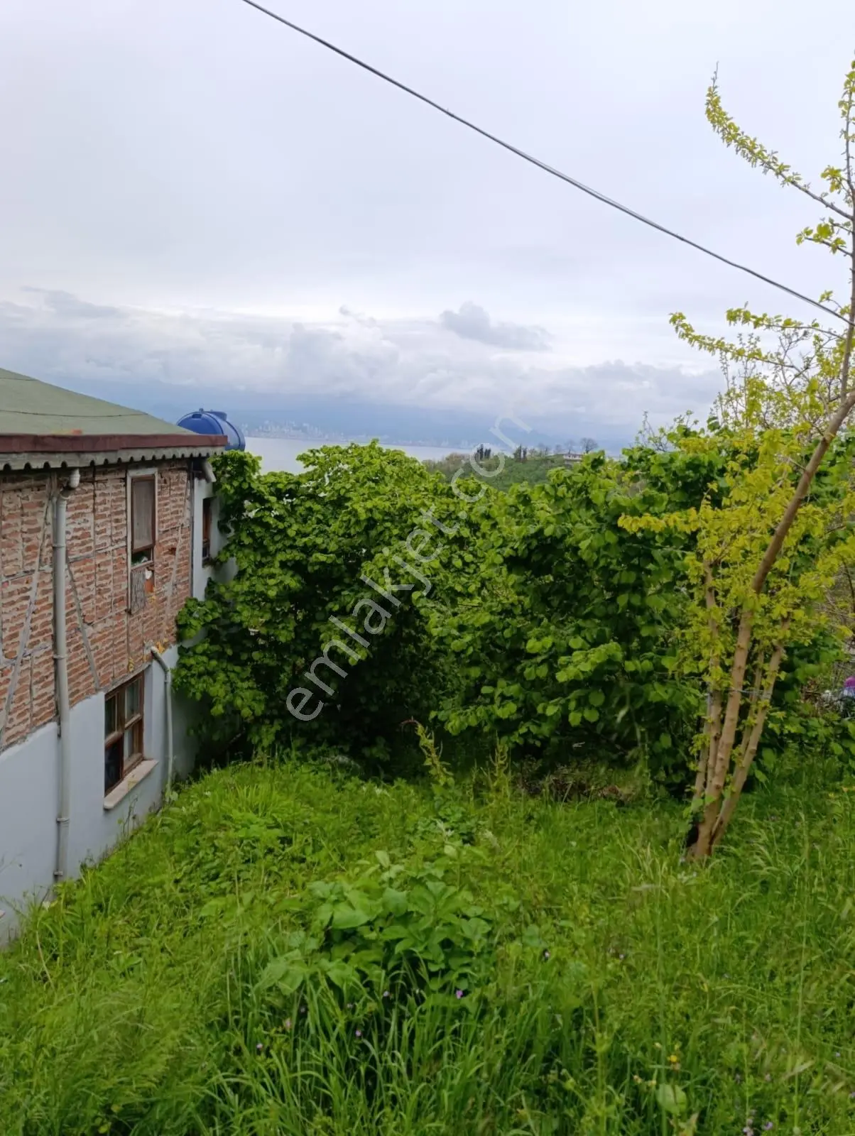 Fatsa Yalıköy Satılık Arazi Ful Deniz Manzaralı - Görsel 4