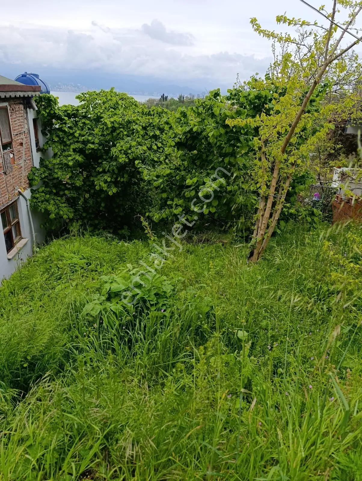 Fatsa Yalıköy Satılık Arazi Ful Deniz Manzaralı - Görsel 5