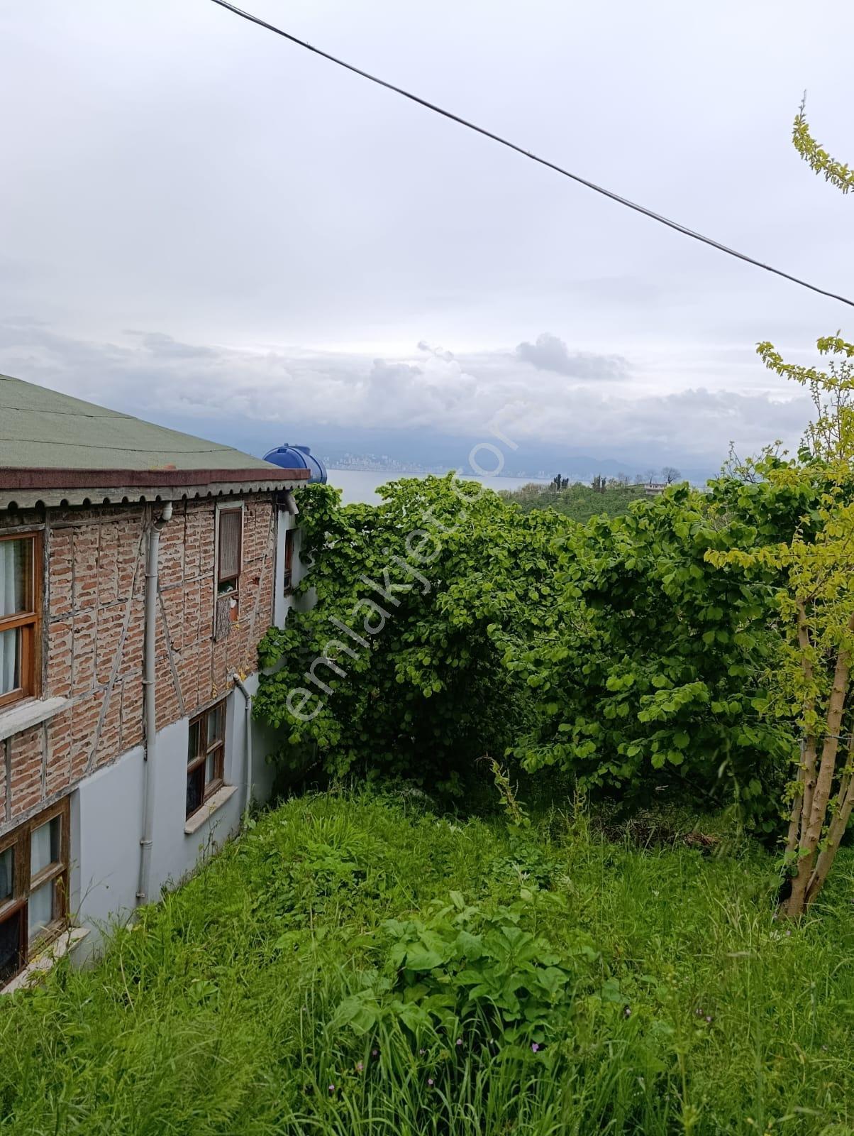 Fatsa Yalıköy Satılık Arazi Ful Deniz Manzaralı