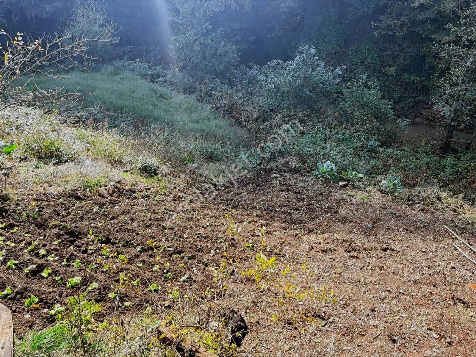 Dereköyde Yol Kenarı Köy İçi %40 Konut İmarlı Satılık Arsa - Görsel 8