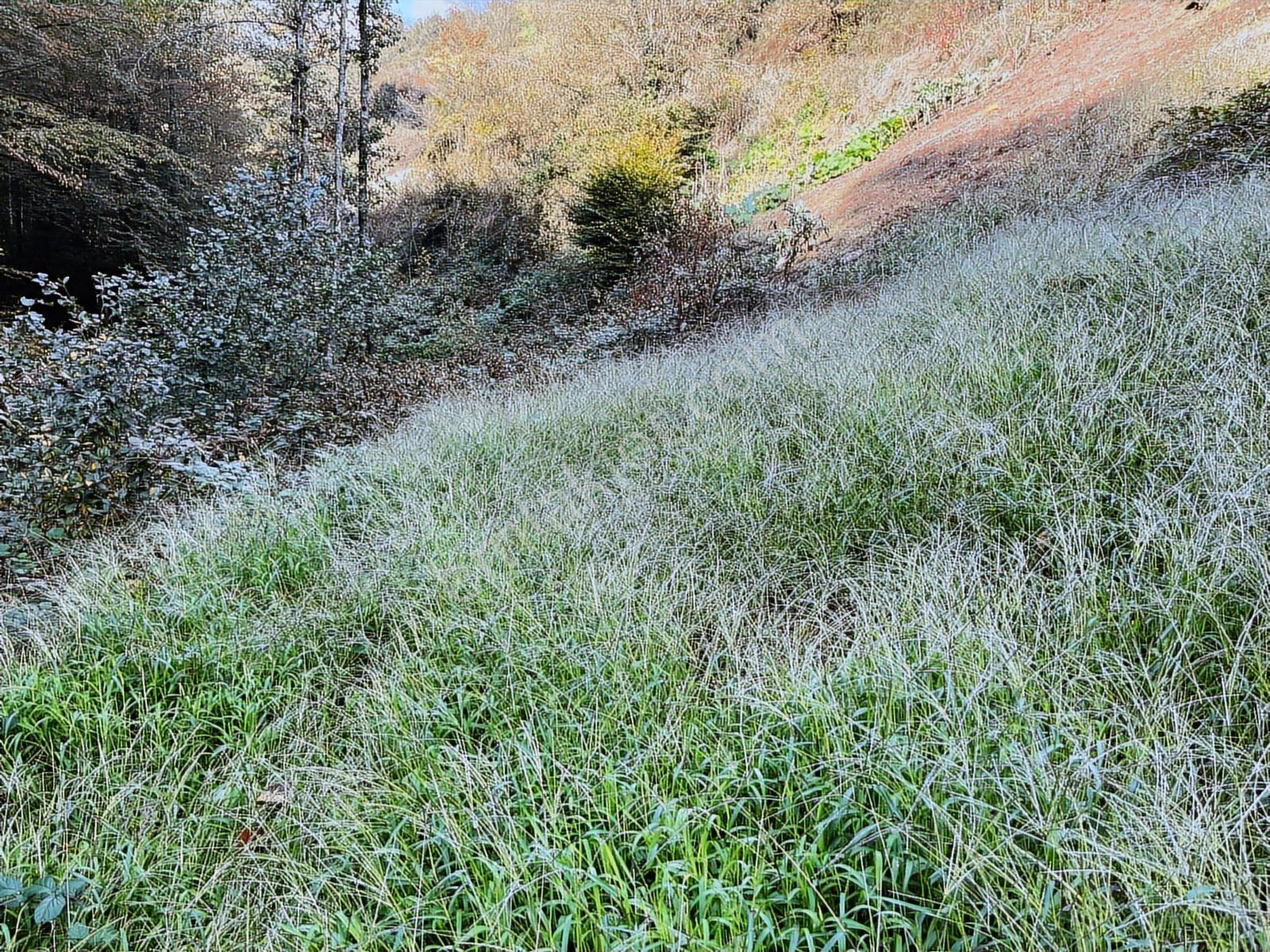 Dereköyde Yol Kenarı Köy İçi %40 Konut İmarlı Satılık Arsa - Görsel 7