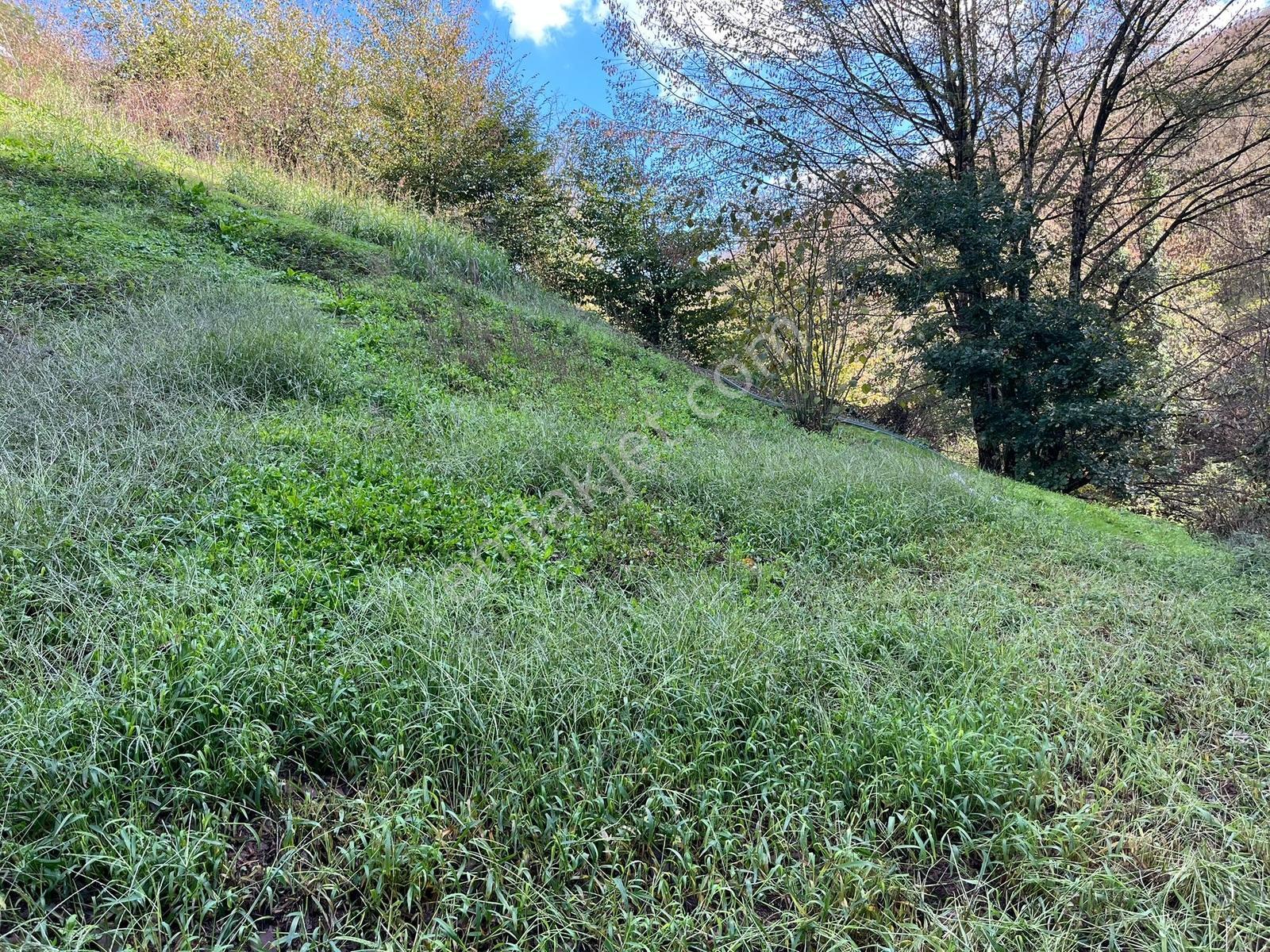 Dereköyde Yol Kenarı Köy İçi %40 Konut İmarlı Satılık Arsa - Görsel 9