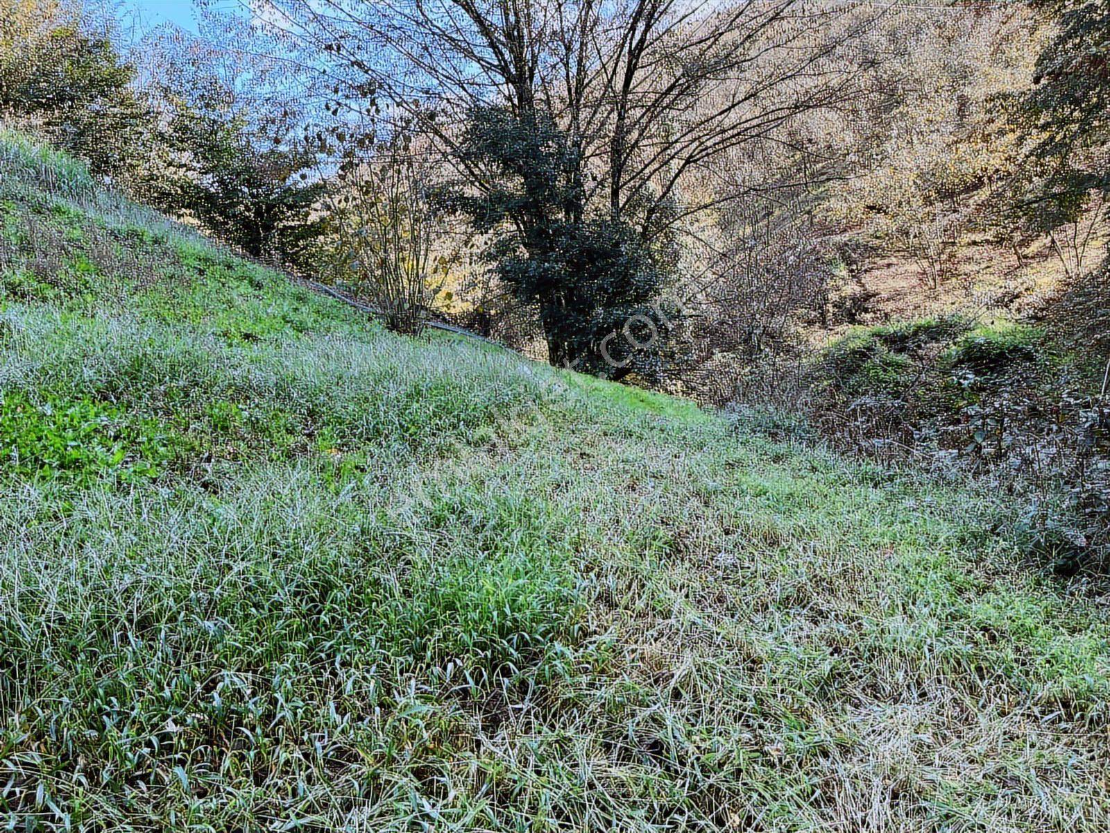 Dereköyde Yol Kenarı Köy İçi %40 Konut İmarlı Satılık Arsa - Görsel 17