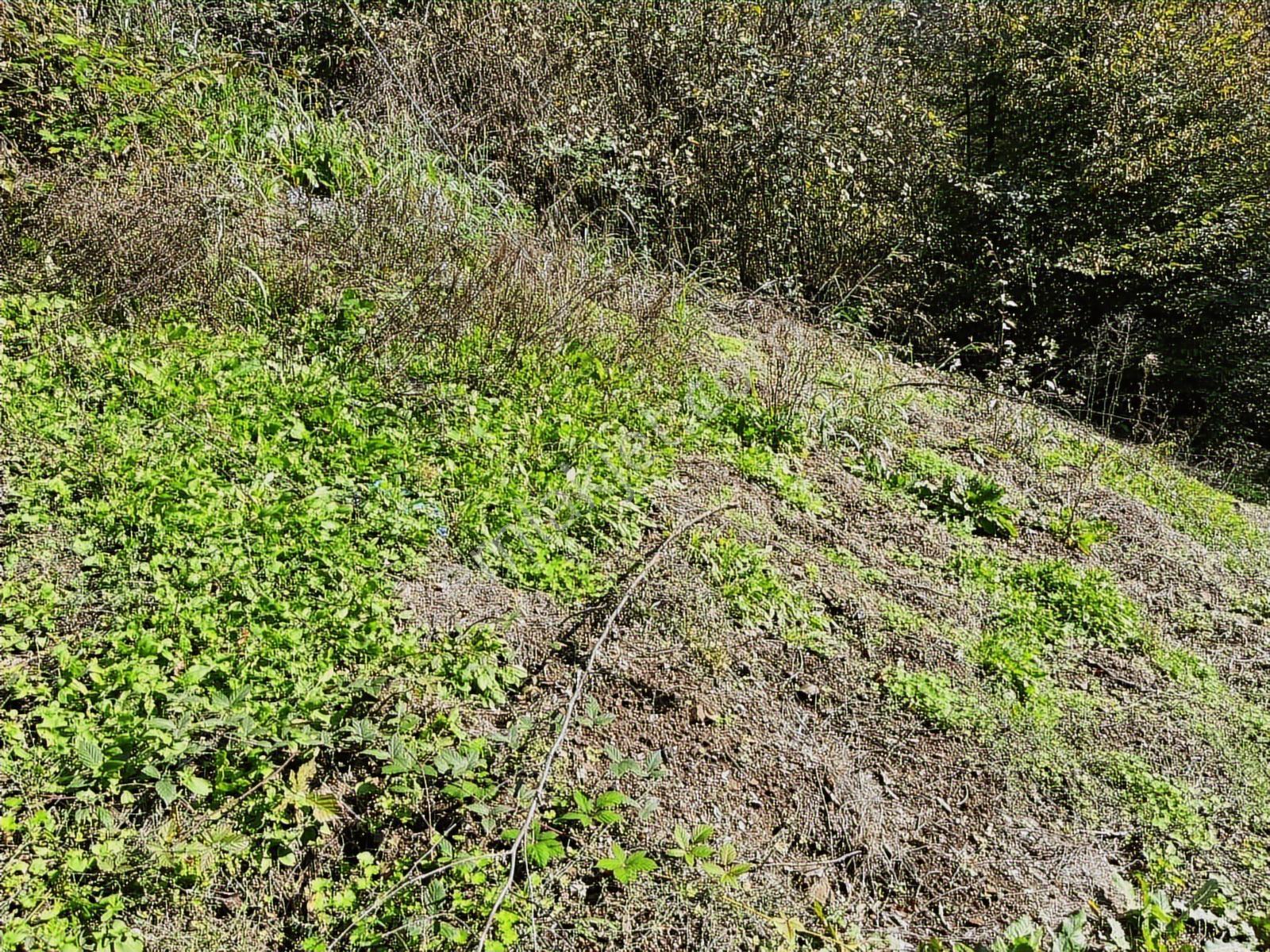 Dereköyde Yol Kenarı Köy İçi %40 Konut İmarlı Satılık Arsa - Görsel 10