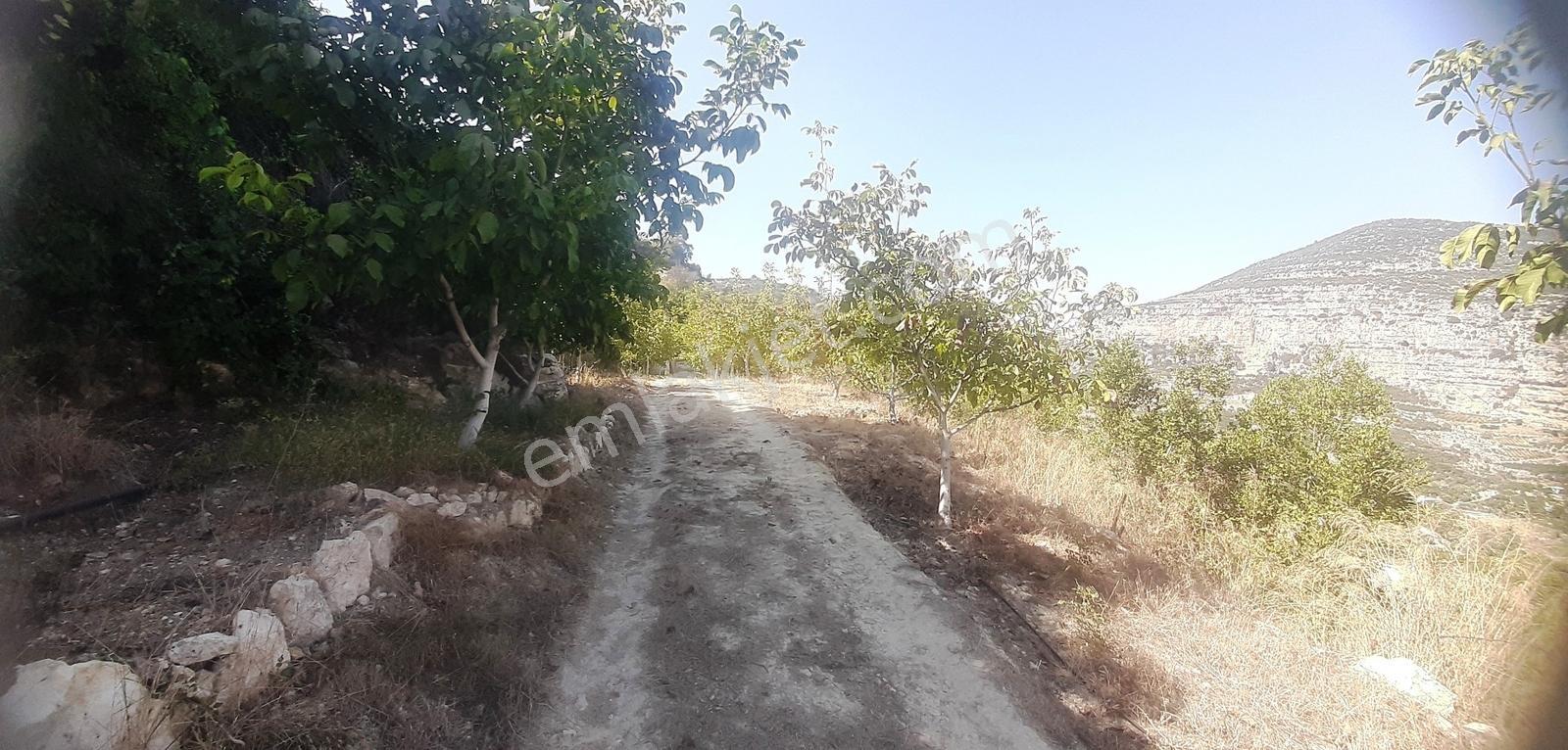 Mersin Kerimlerde Acil Satılık Merkeze Yakın Full Manzaralı Arsa - Görsel 21