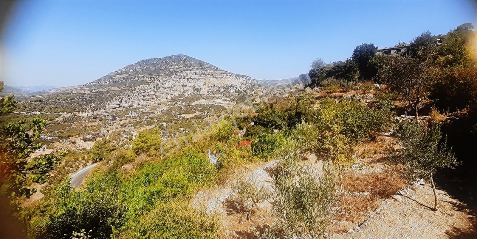Mersin Kerimlerde Acil Satılık Merkeze Yakın Full Manzaralı Arsa - Görsel 14