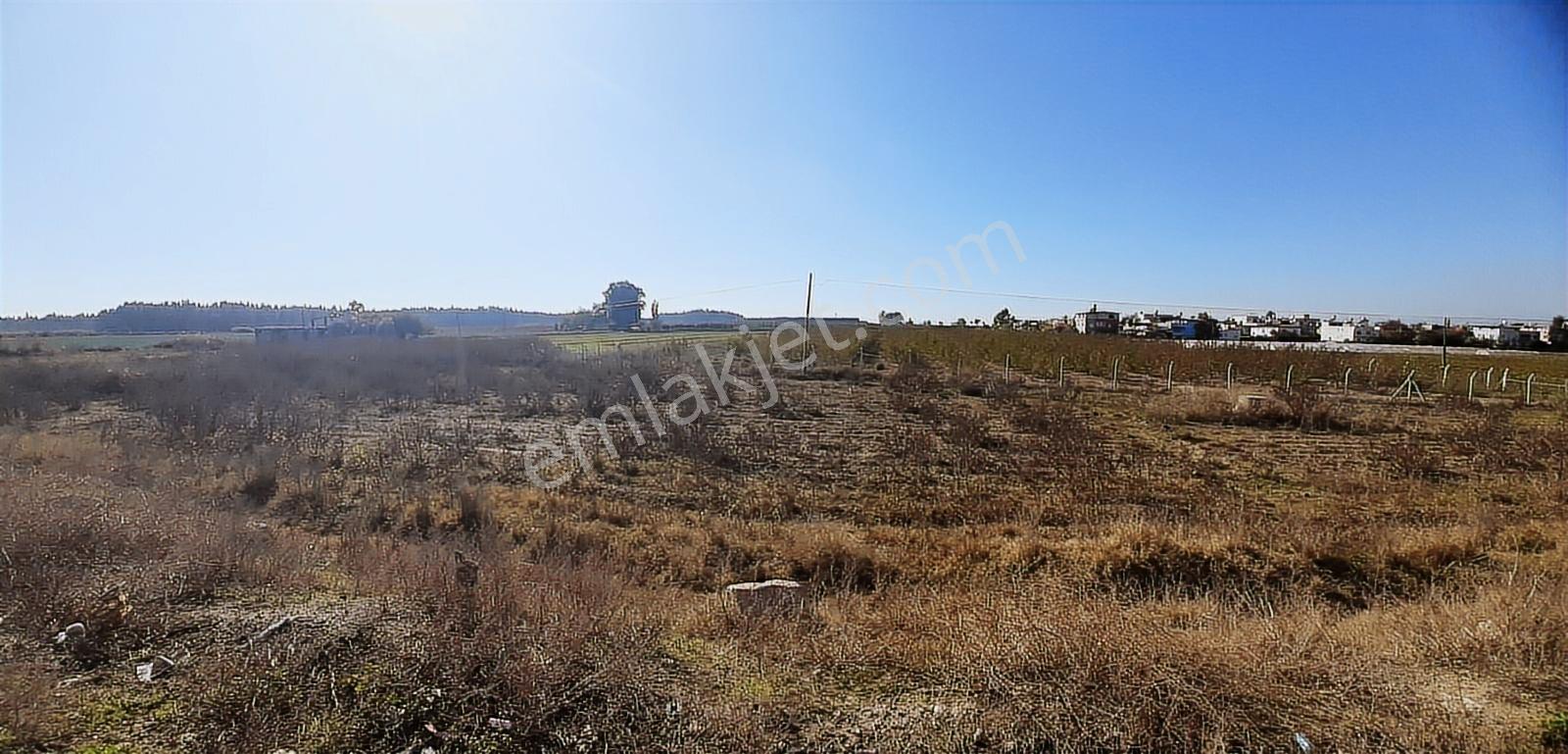 Tarsus D 400 Karayoluna Yakın Asfalt Cepeli Aci Satılık Tarla - Görsel 13