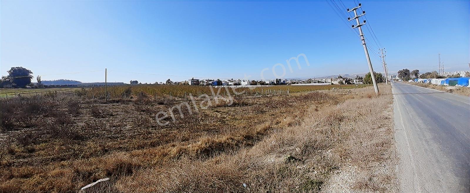 Tarsus D 400 Karayoluna Yakın Asfalt Cepeli Aci Satılık Tarla - Görsel 7